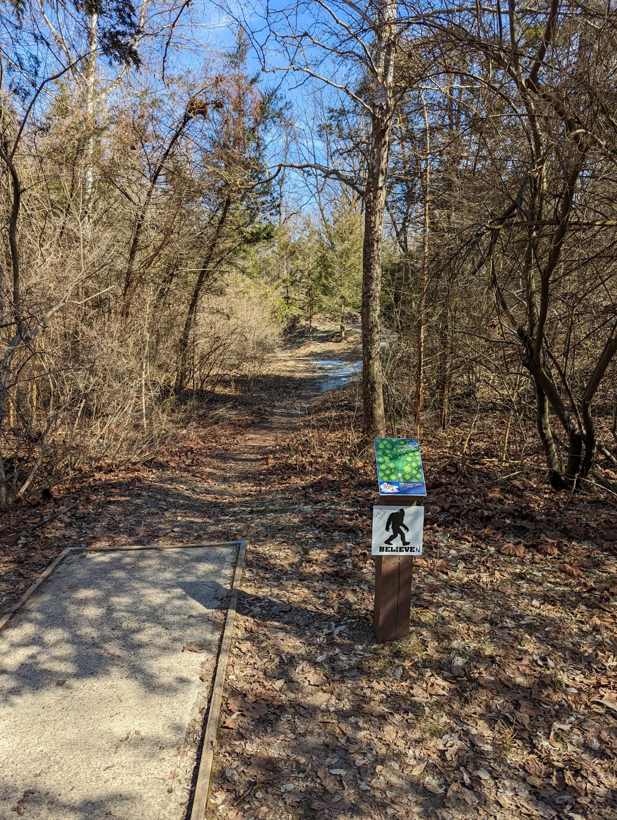 Previous Hole 4A. Tee pad & basket have moved