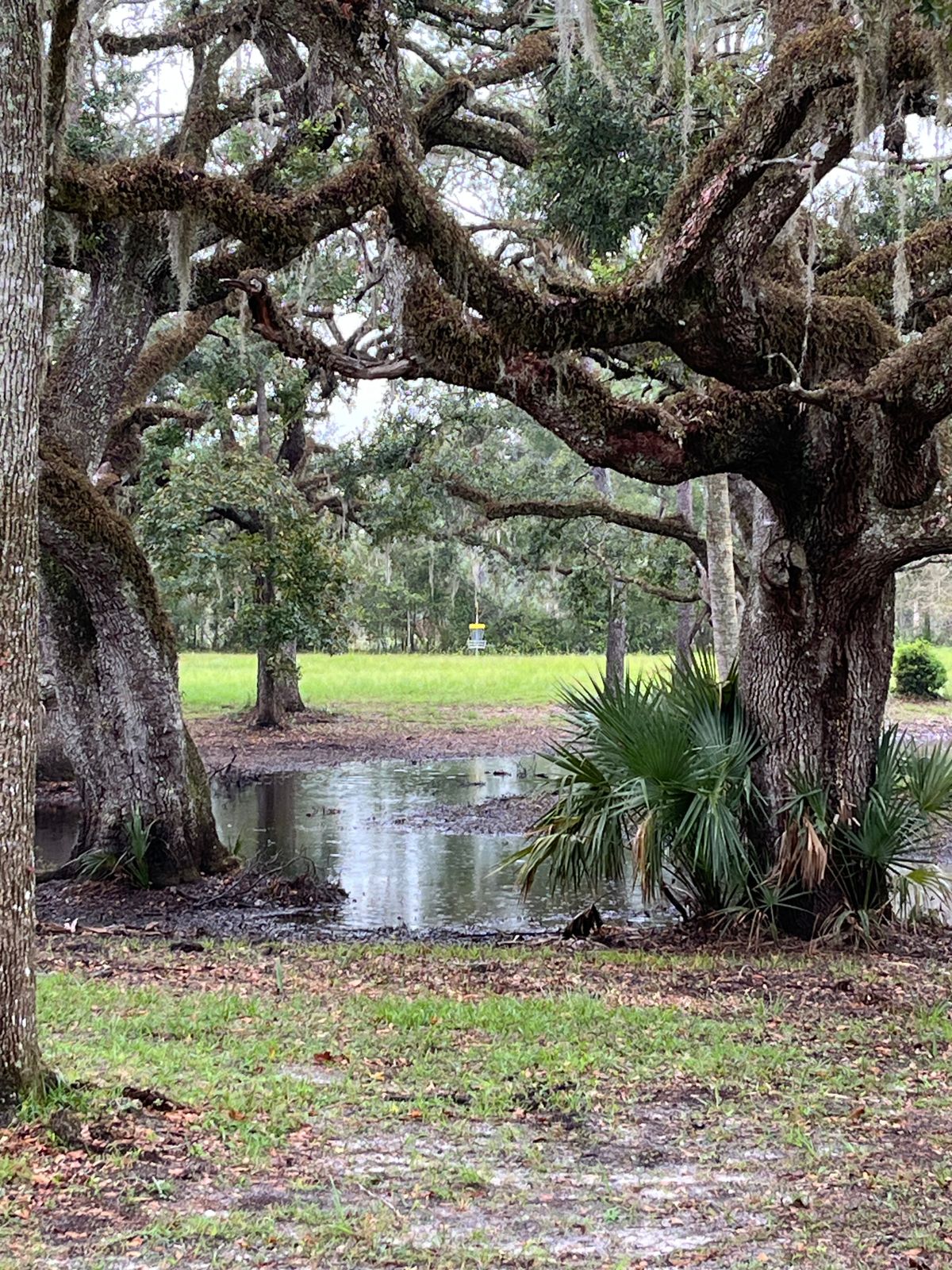 Hole 11