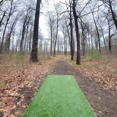 Forest 3 long new tee pad :)