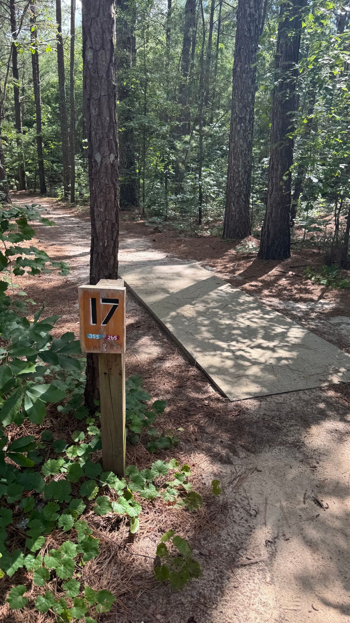 Hole 17 Tee Pad