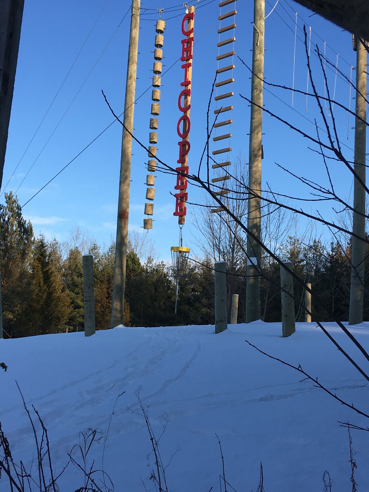 Winter 9&18 Basket