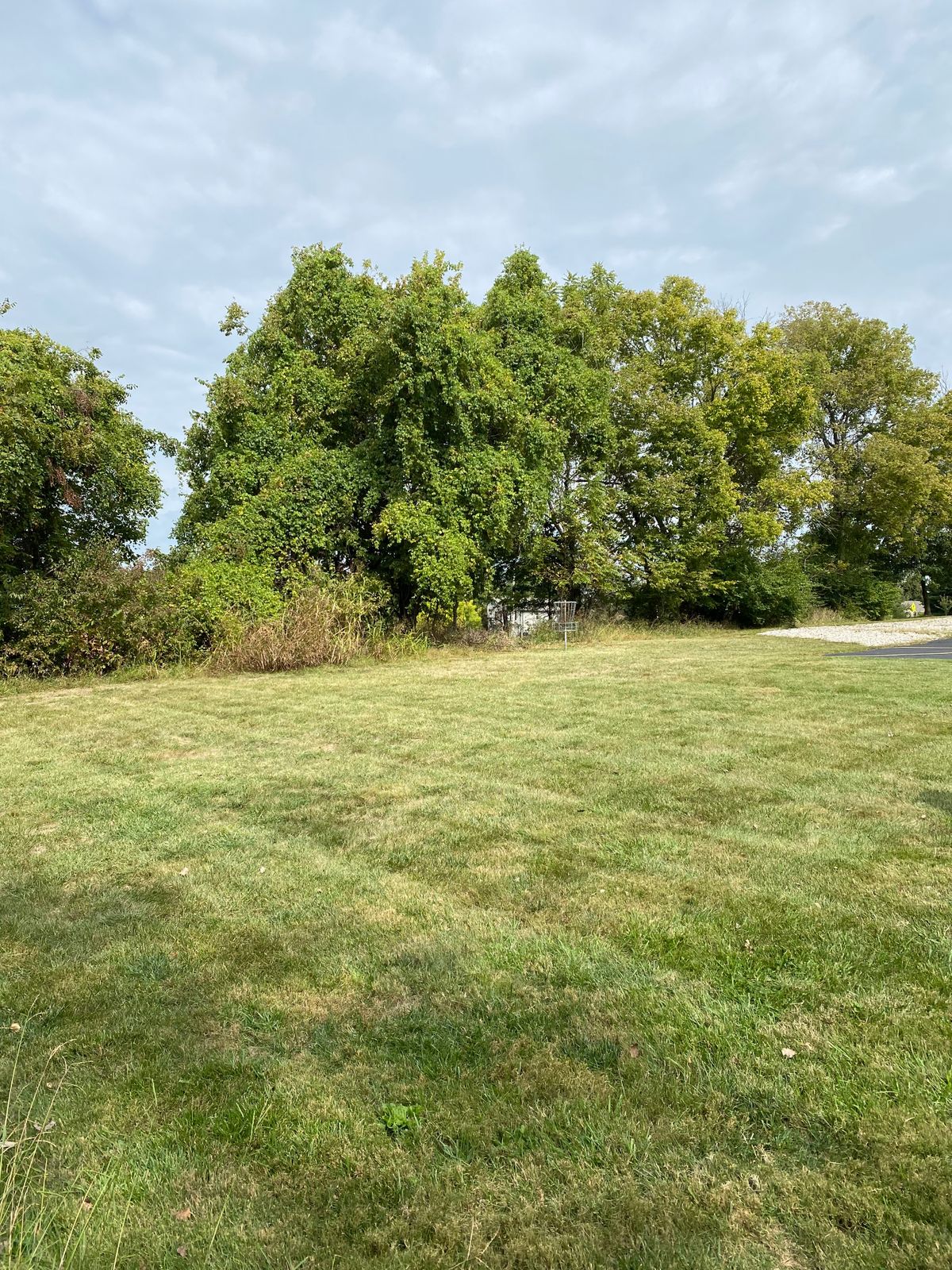 Hole 16 basket