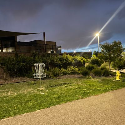 Hole 7 or 8’s (?) basket.