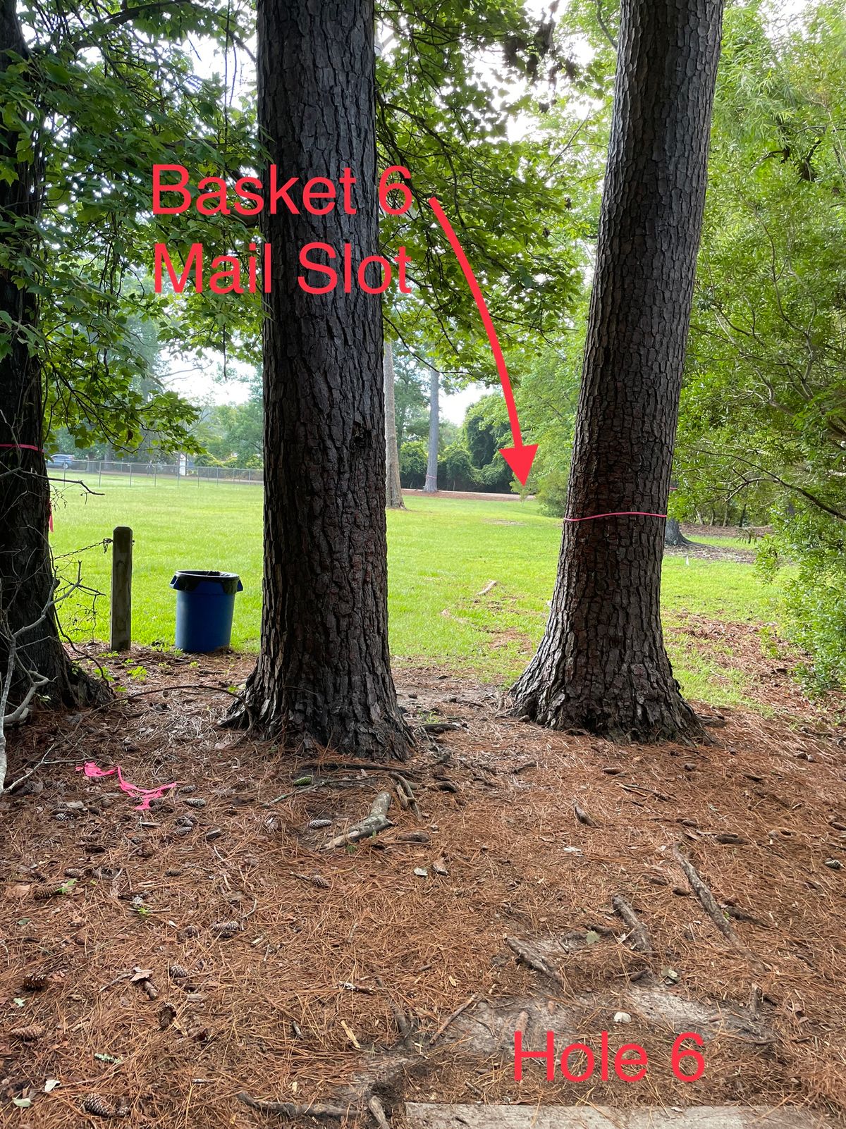 Hole 6 - double mando?