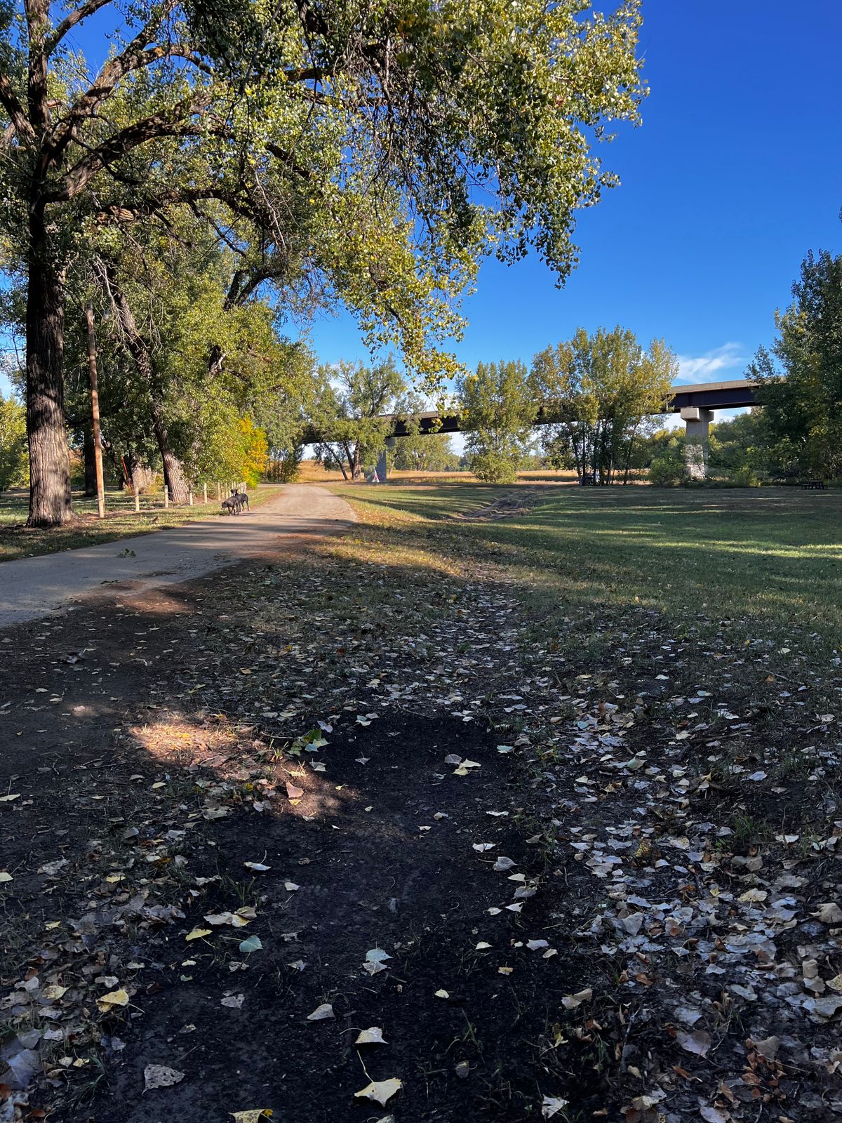 Tee 2