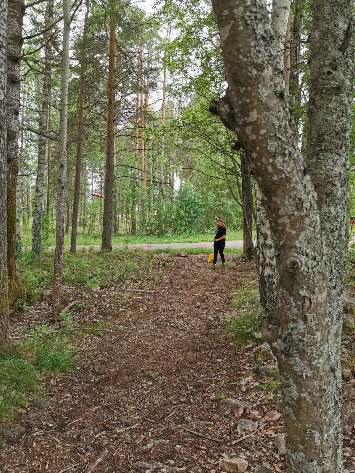 Utkast från en av teena