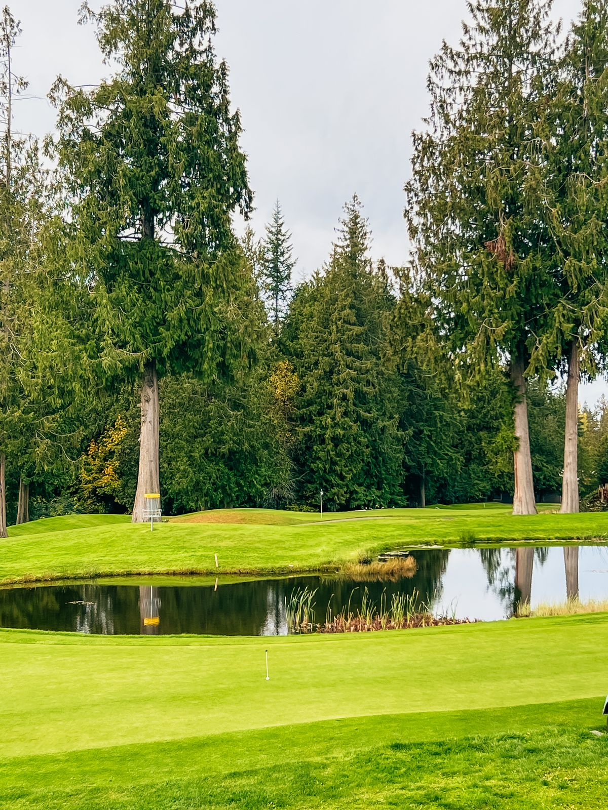 View from hole 18