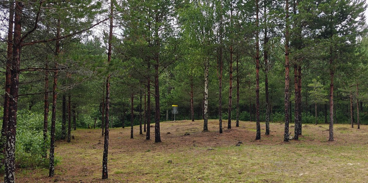 Väylä 5 am.