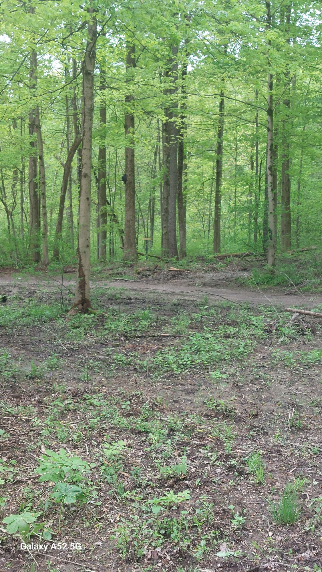 Hole 3