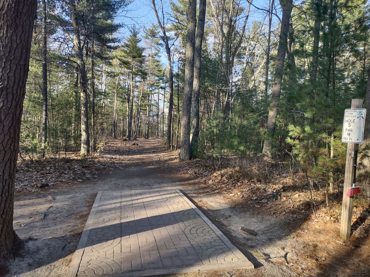 Hole 5