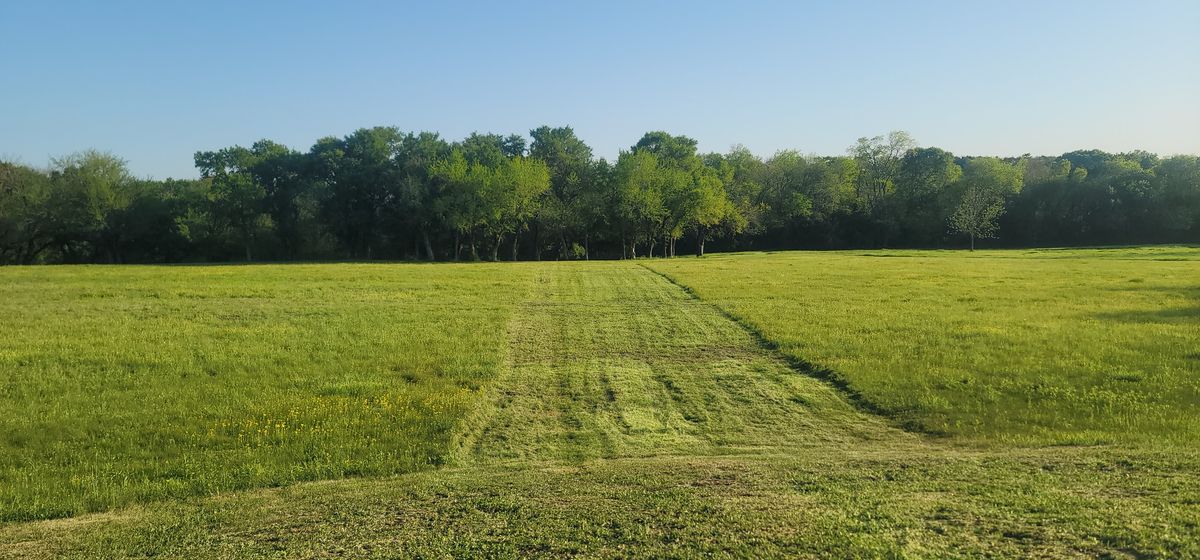 hole 9 fairway from the bottom of the dam.  basket is up on dam directly behind this photographer.