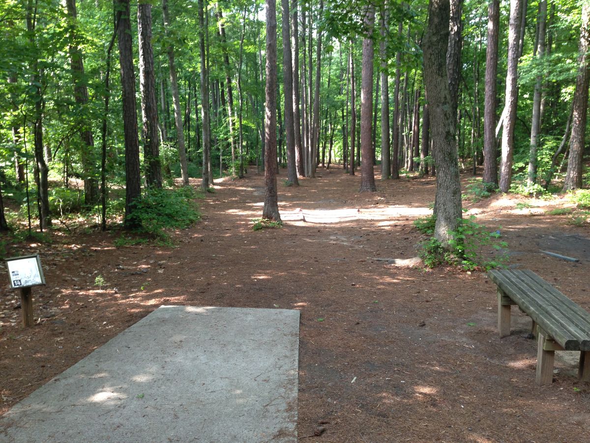 Hole 14 -- long tee