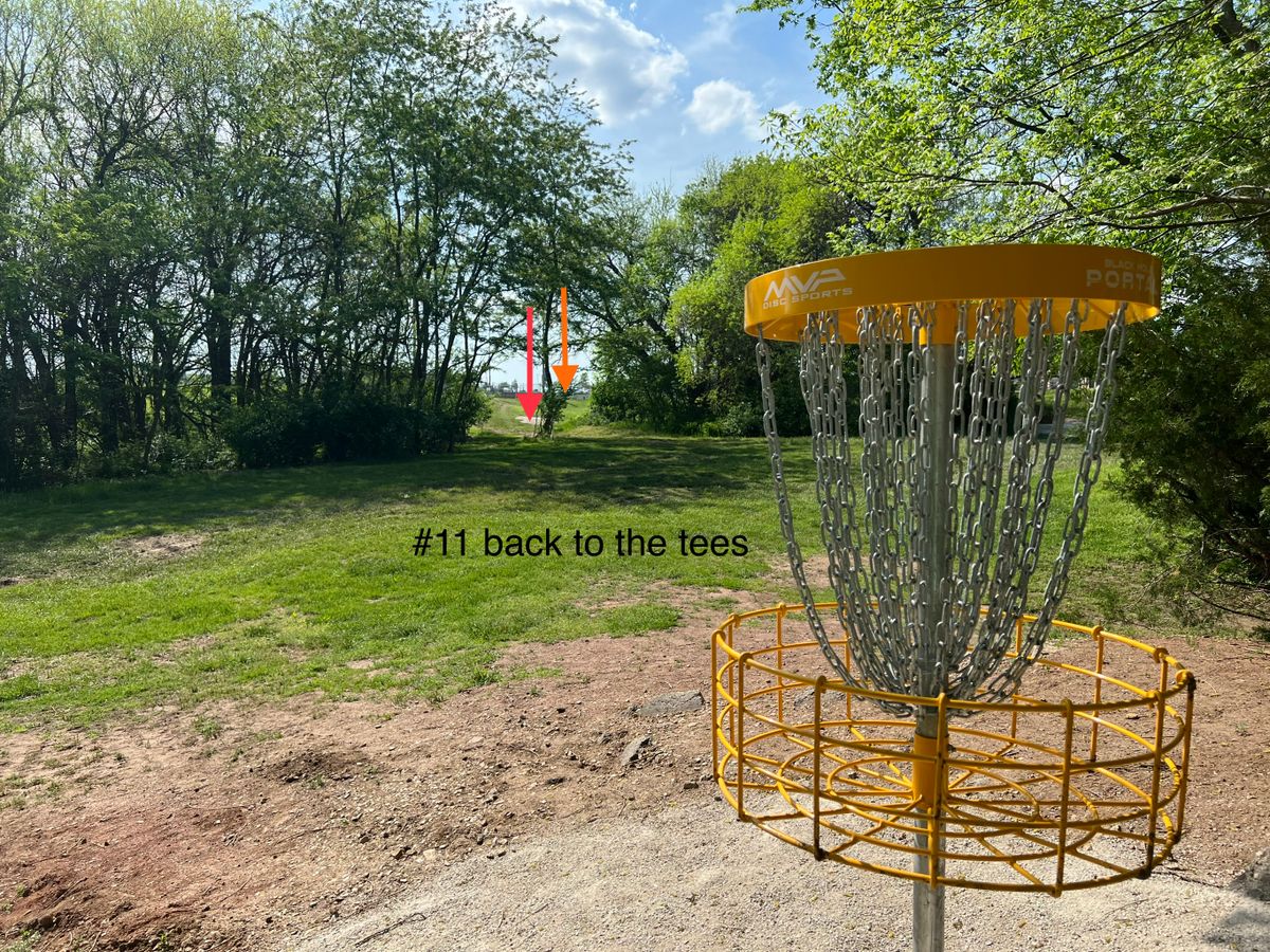 #11 - basket to tees