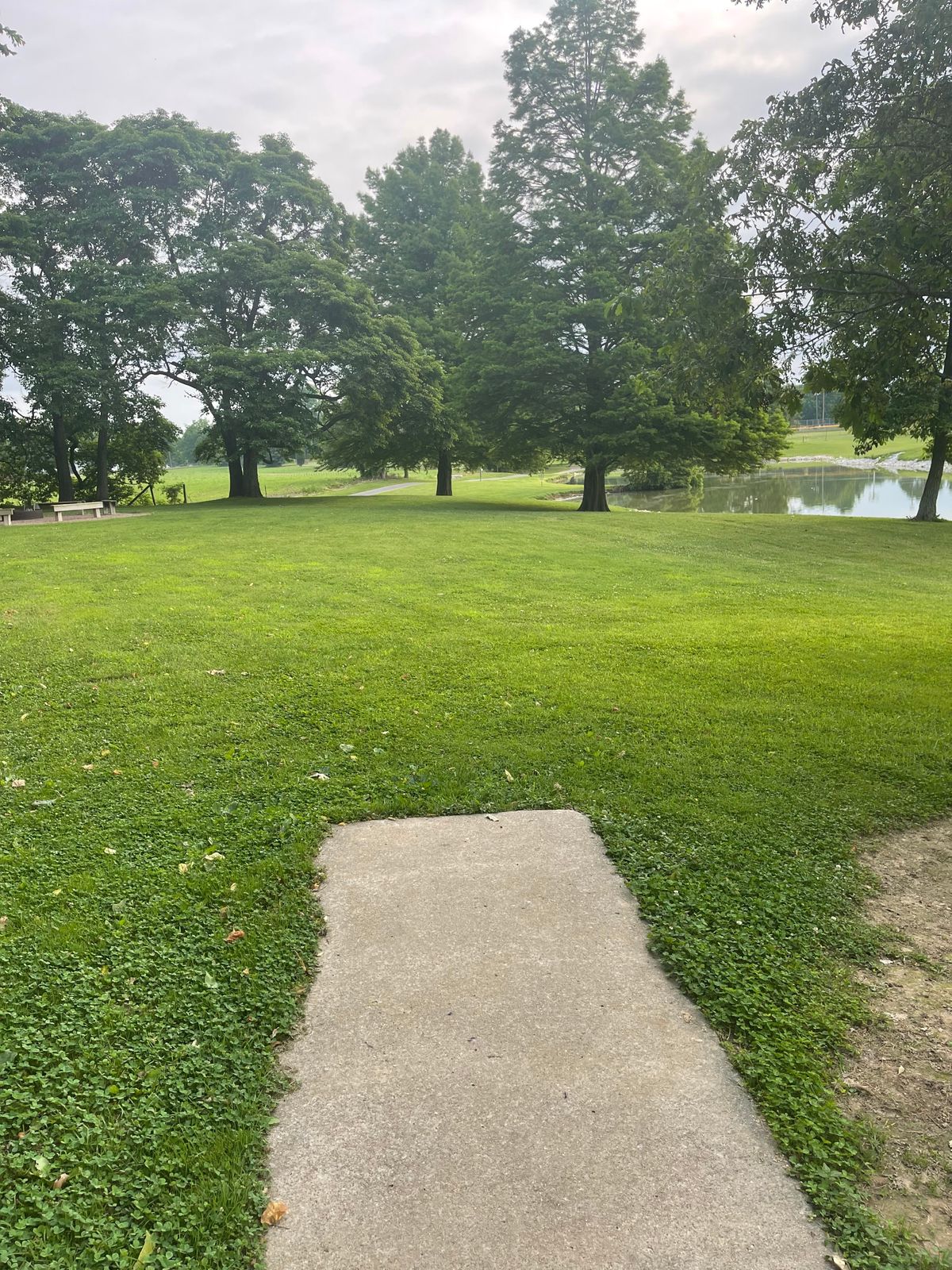 Hole 14 tee, basket sits by waters edge straight ahead