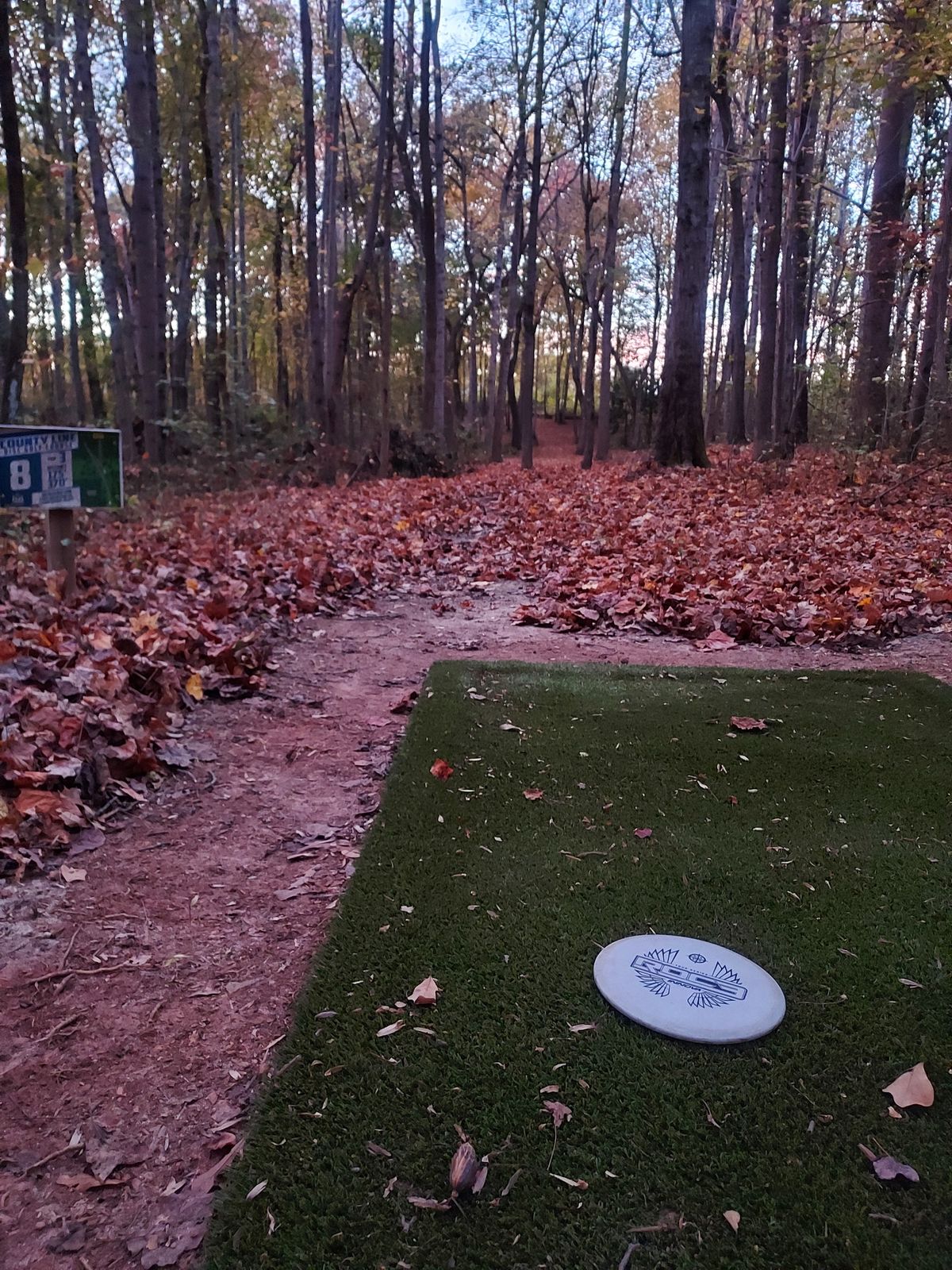 Hole 8 Long