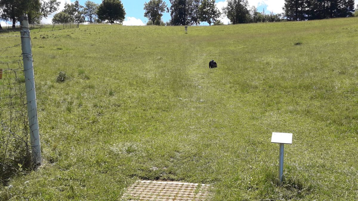 Hole 15 - 14 m elevation straight up, short hole