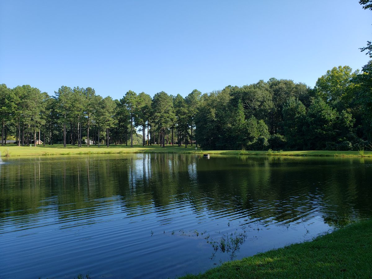 View of the beginner "Green" course in background.