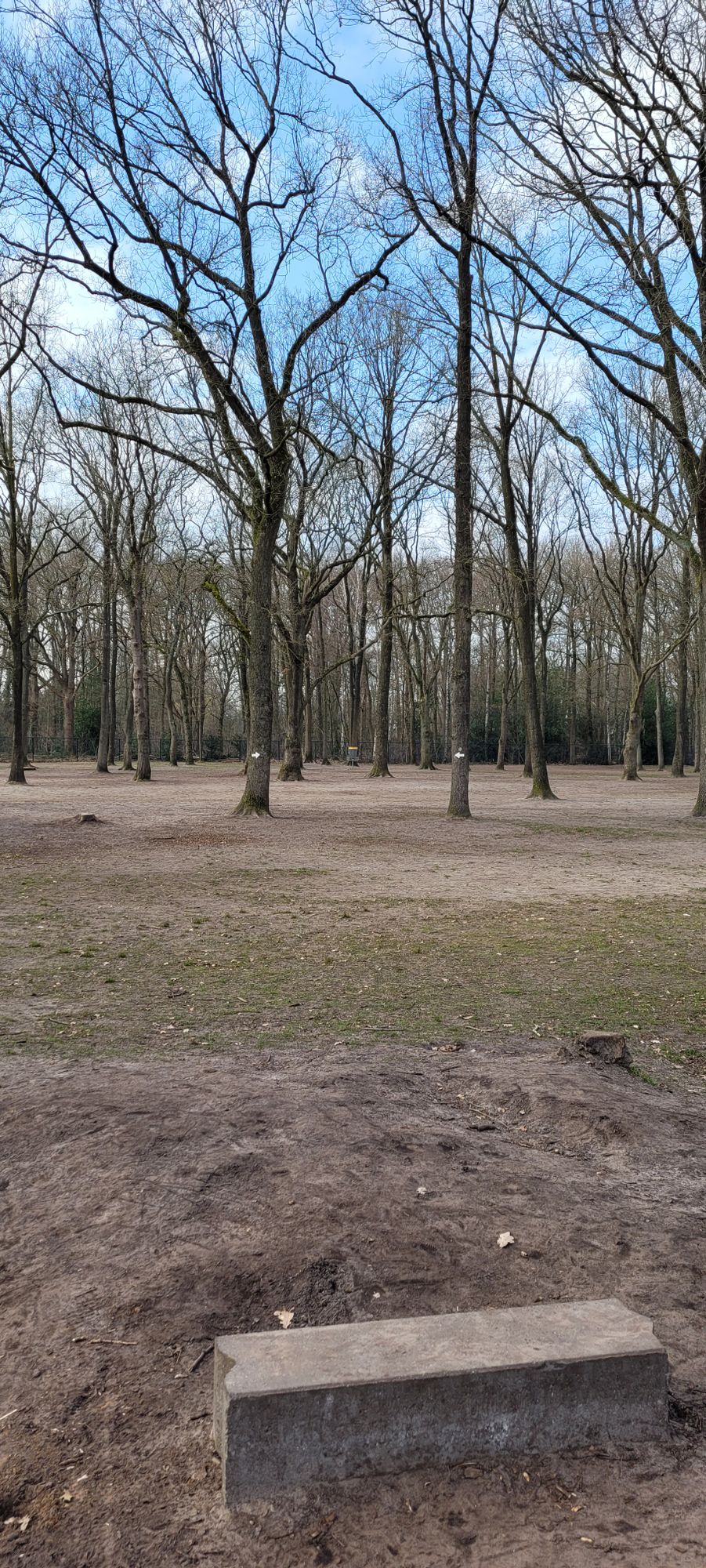 Hole 3