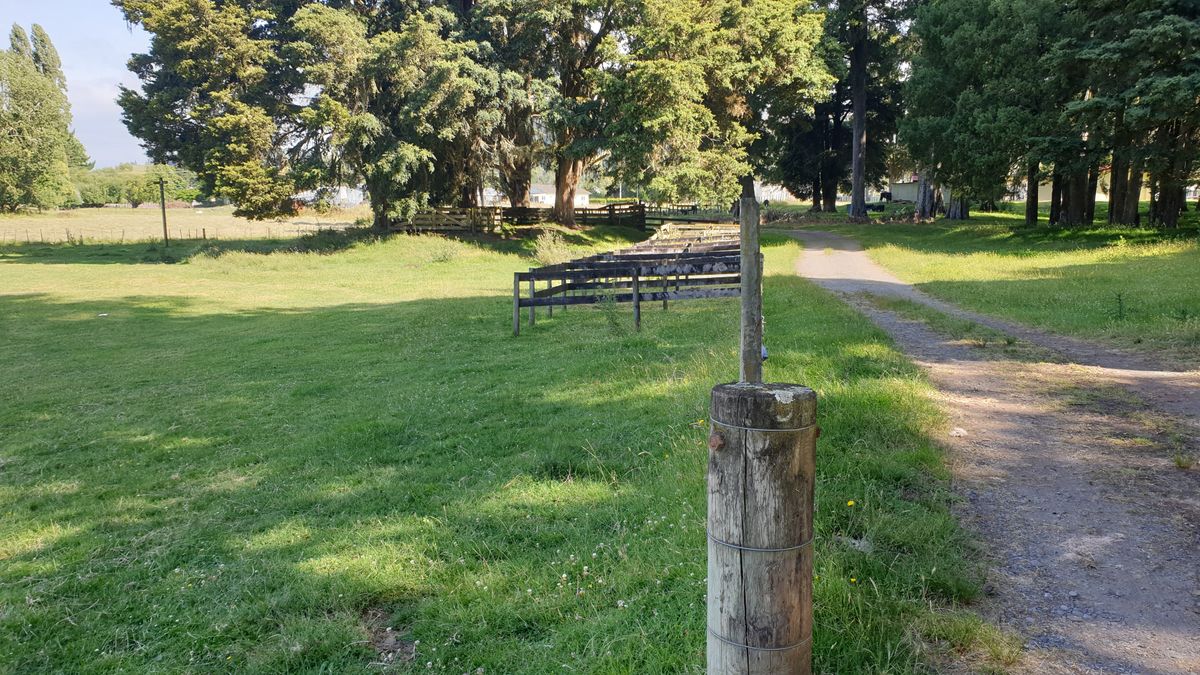 Double tee off for a Par 3 and Par 4. Par 3 is to the left of the fence, all OB to the right, and Par 4 up the right side with no OB