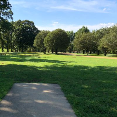 Hole 4
