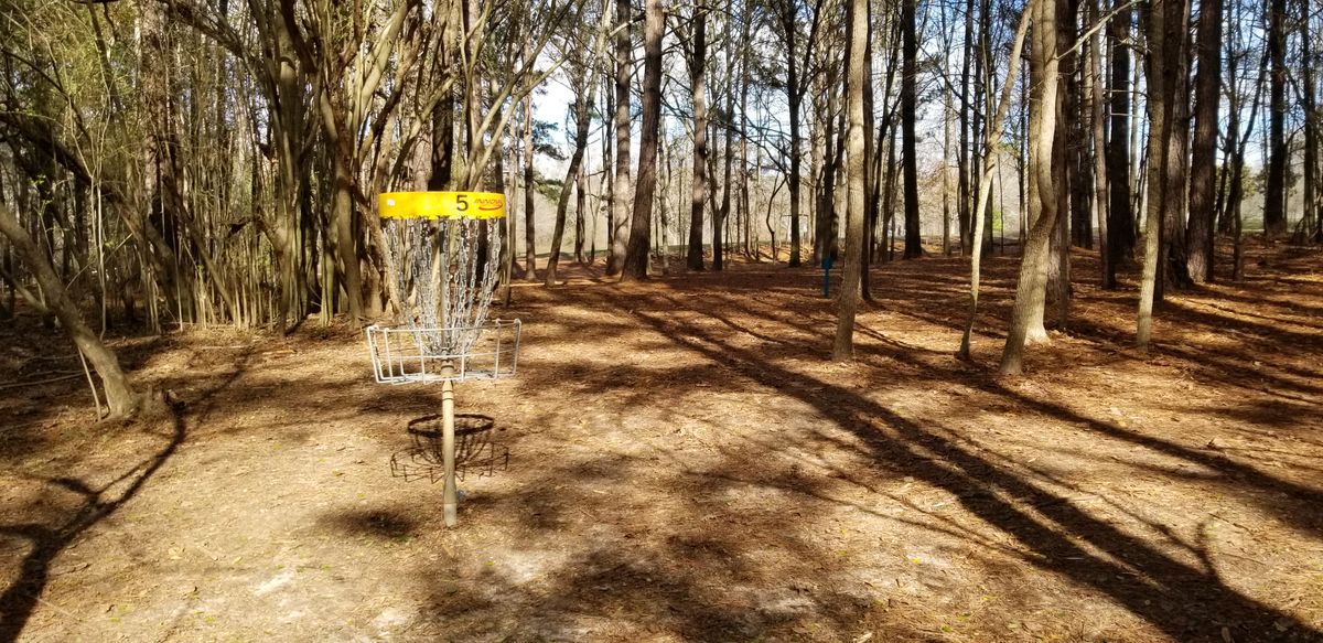 Hole 5 Green (C Pin Location)