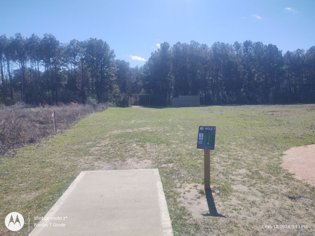 Trilpe mando hole 7