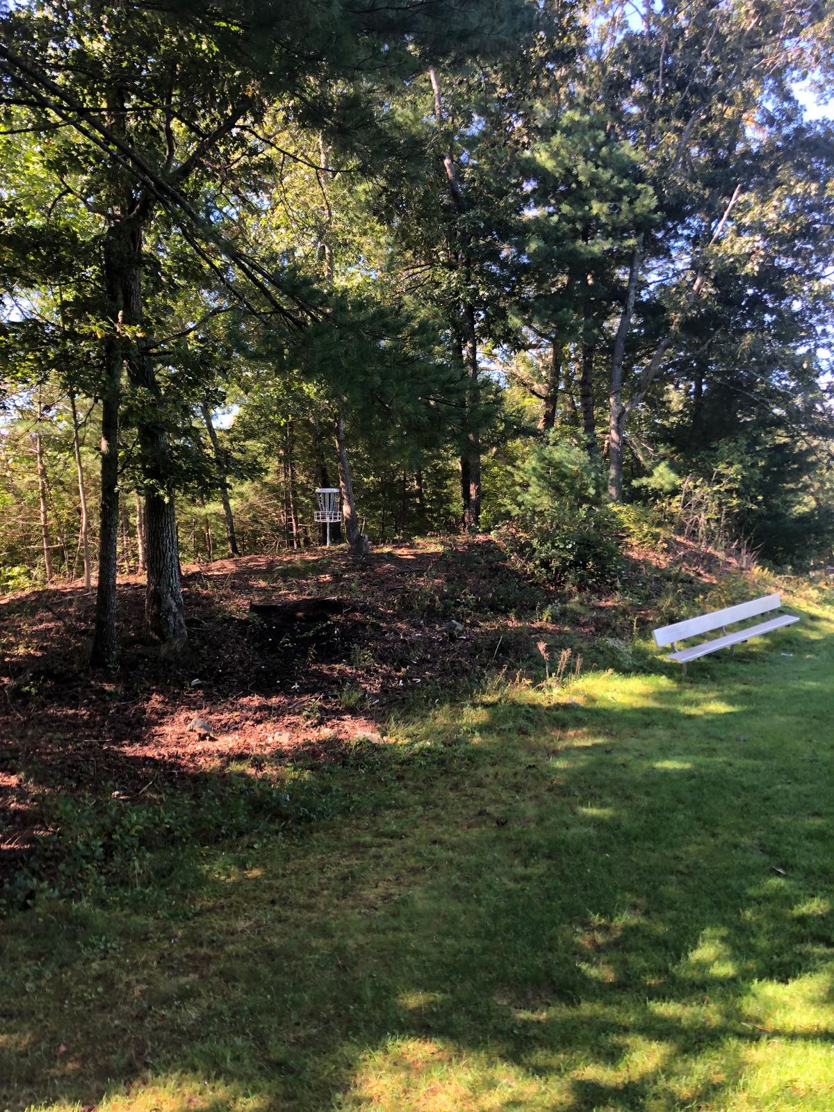 Hole 9 basket