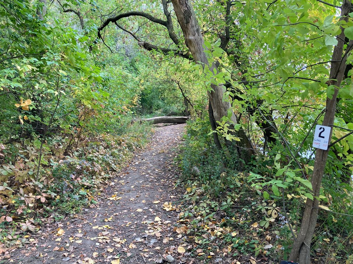 Départ #2. Panier à gauche au bout du sentier