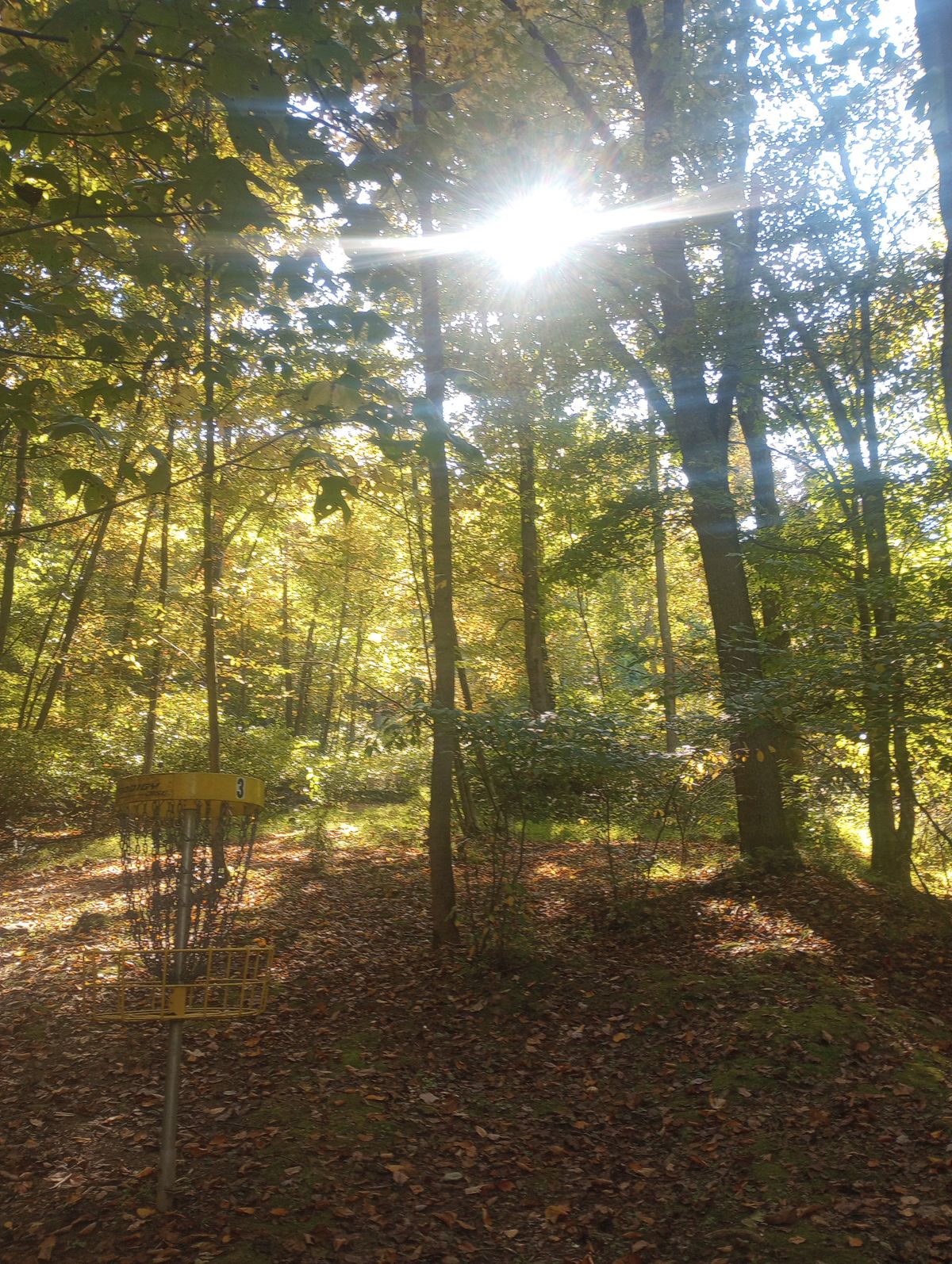 Hole 3 (fall)