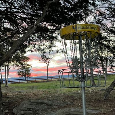 Hole 4 basket