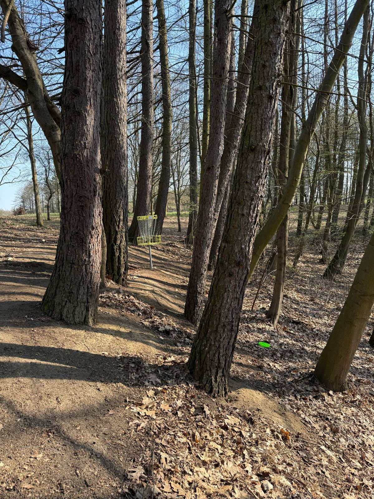 Drive on 12
