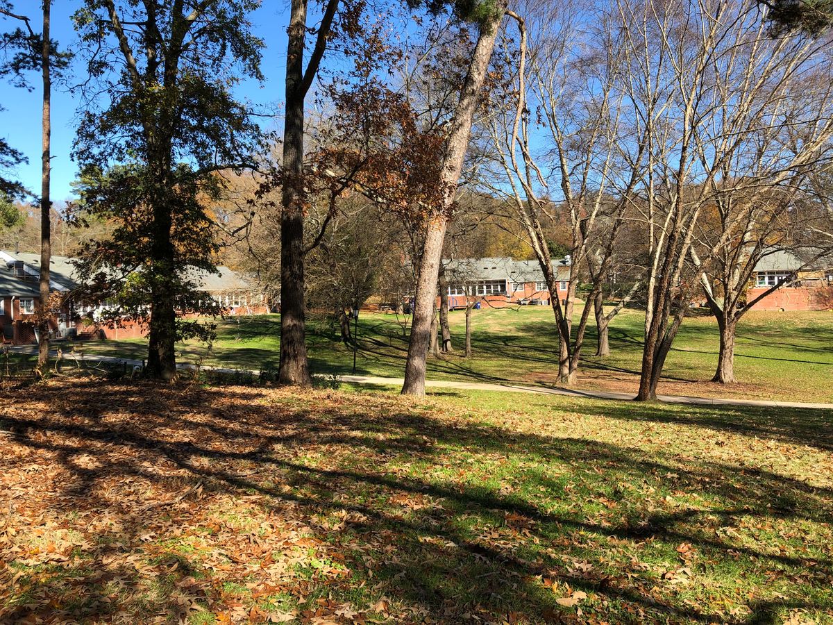 Just a few trees in the way on the  beautiful common area on Davidson College Campus.