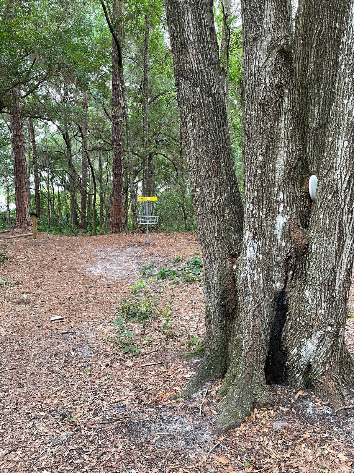 Hole 7