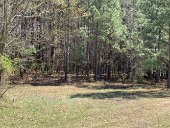 Hole 10 green and temp basket