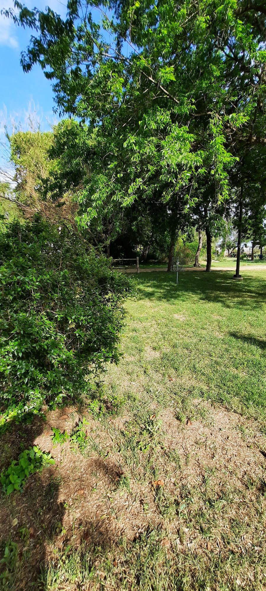 Hole 9 basket from bush.