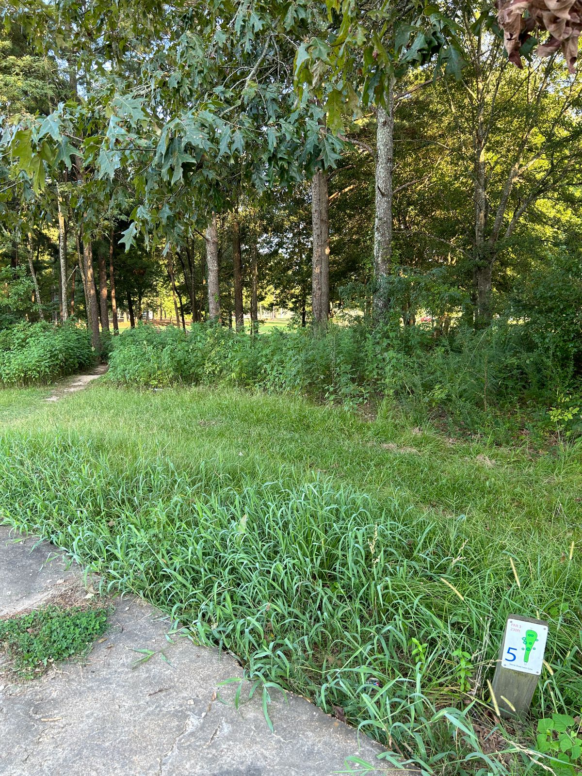 Hole 5 is diagonal left off the tee through the pictured gap.
