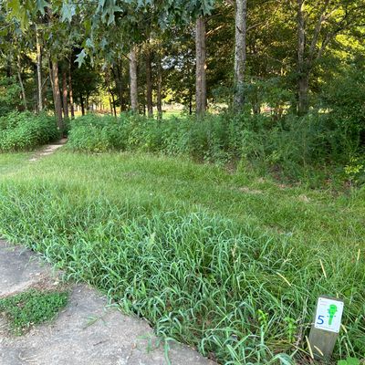 Hole 5 is diagonal left off the tee through the pictured gap.
