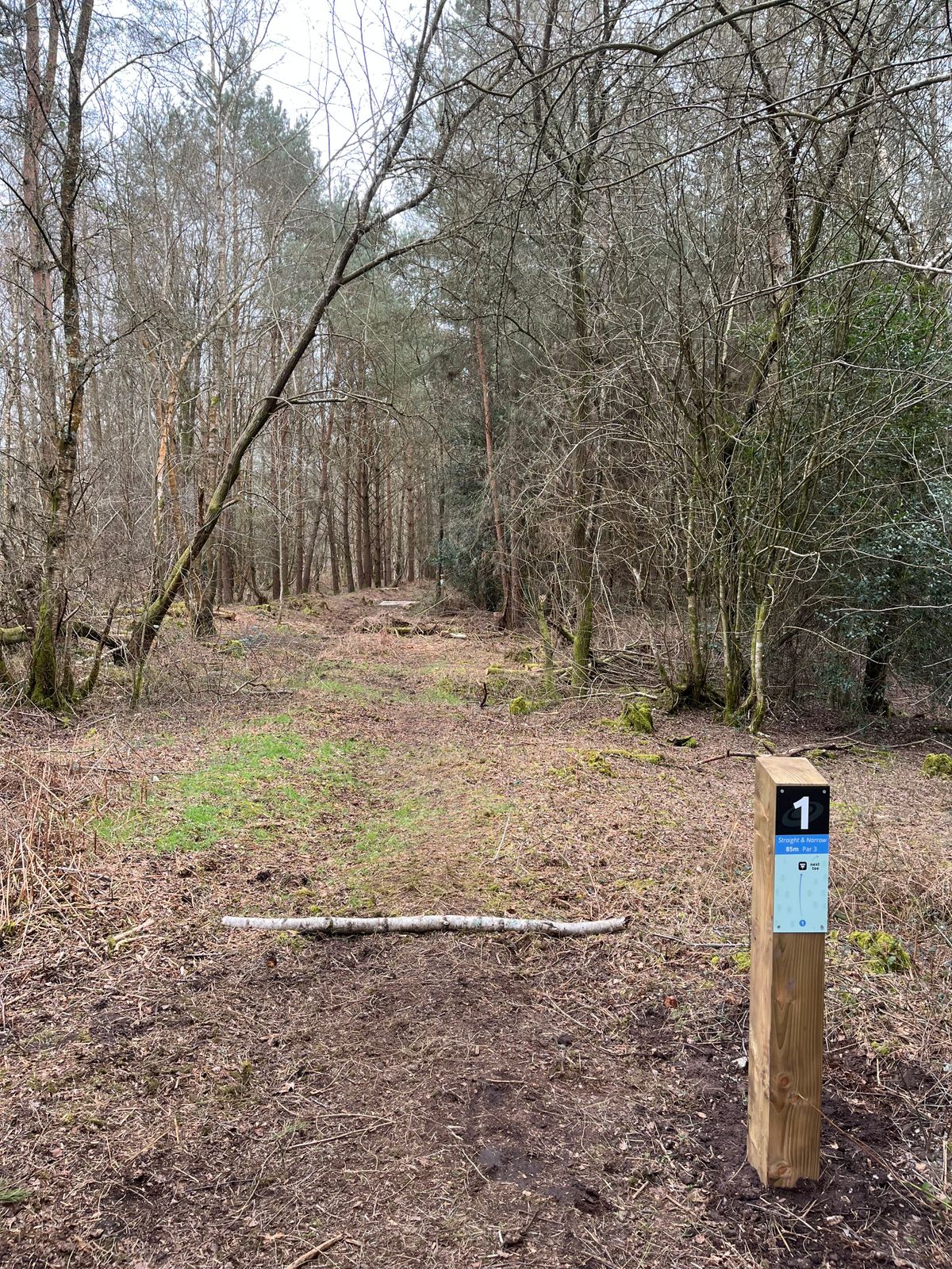 Hole 1 long