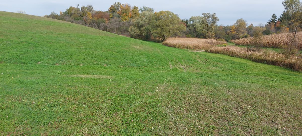 Long approach on hole 18. 🍁 🌽 🍁 🌽