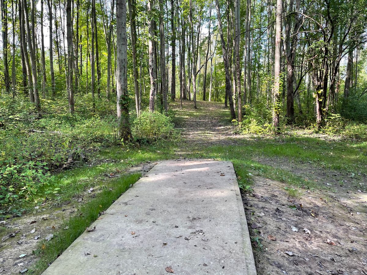 Hole 7 Tee