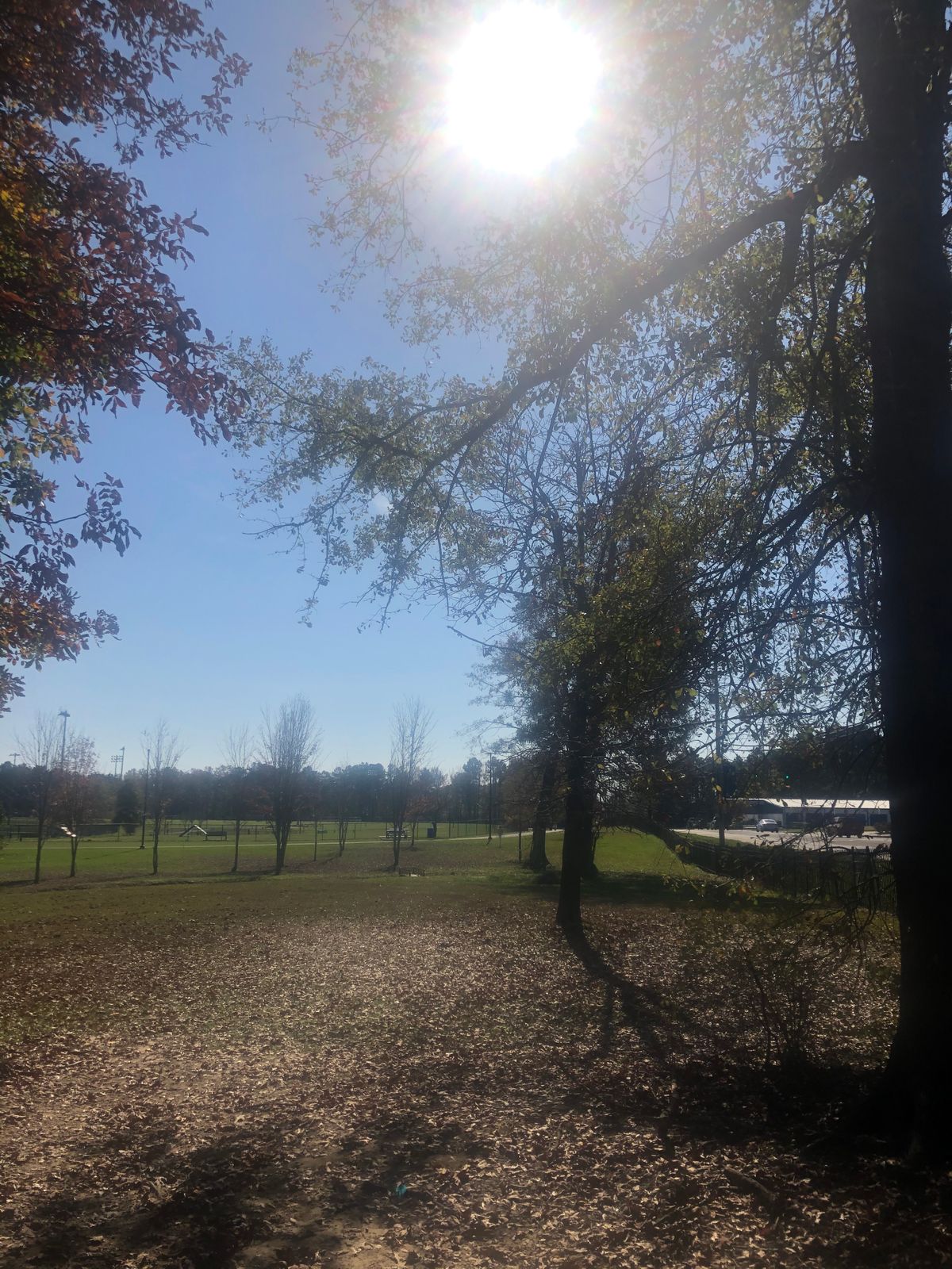 Hole 14