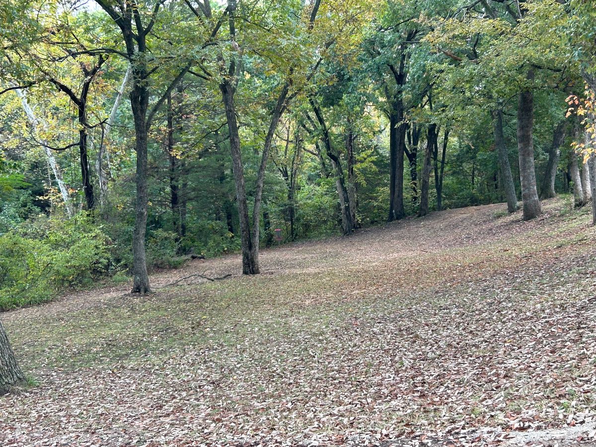 Hole 7 basket