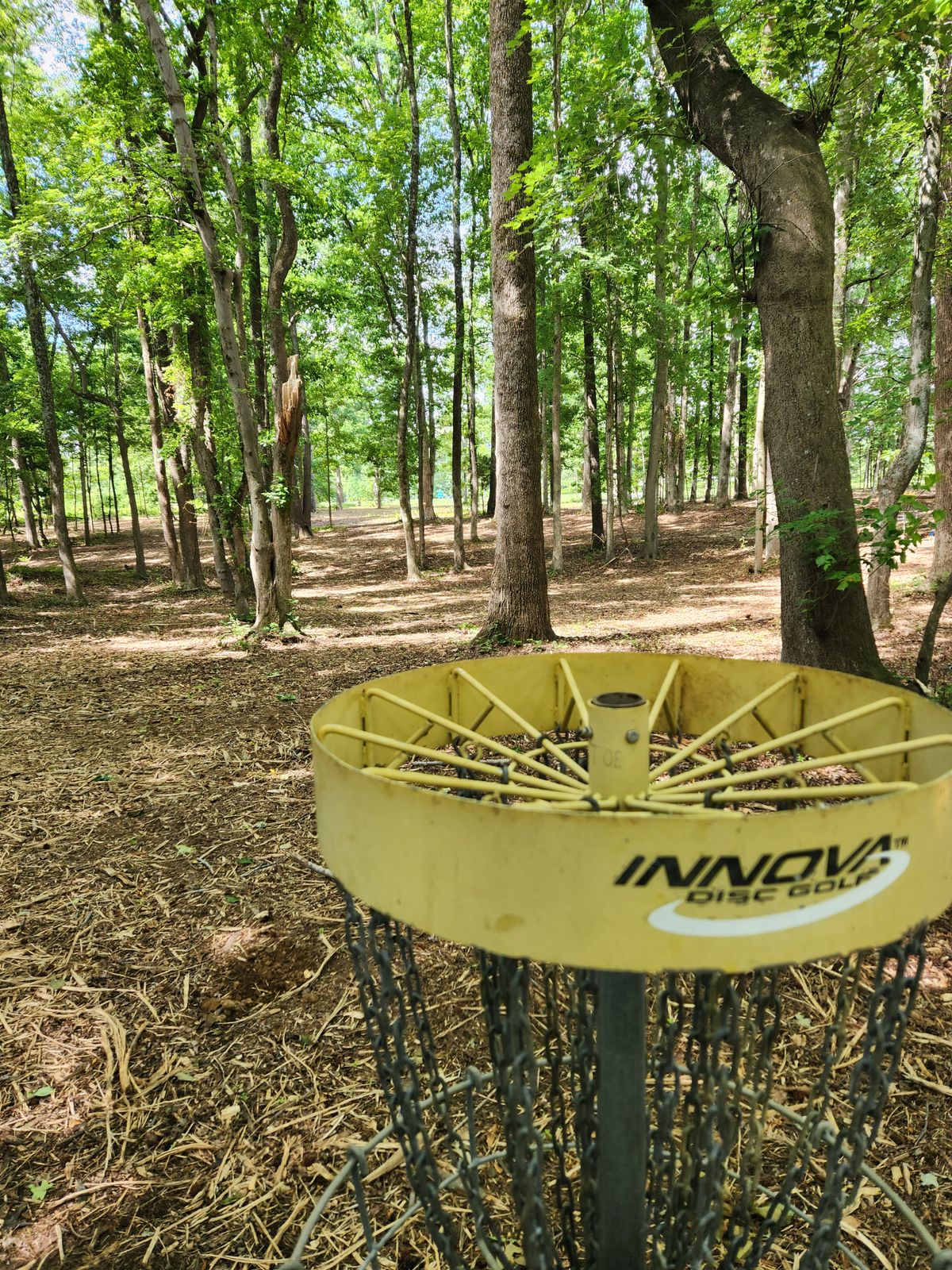 Pin to Tee