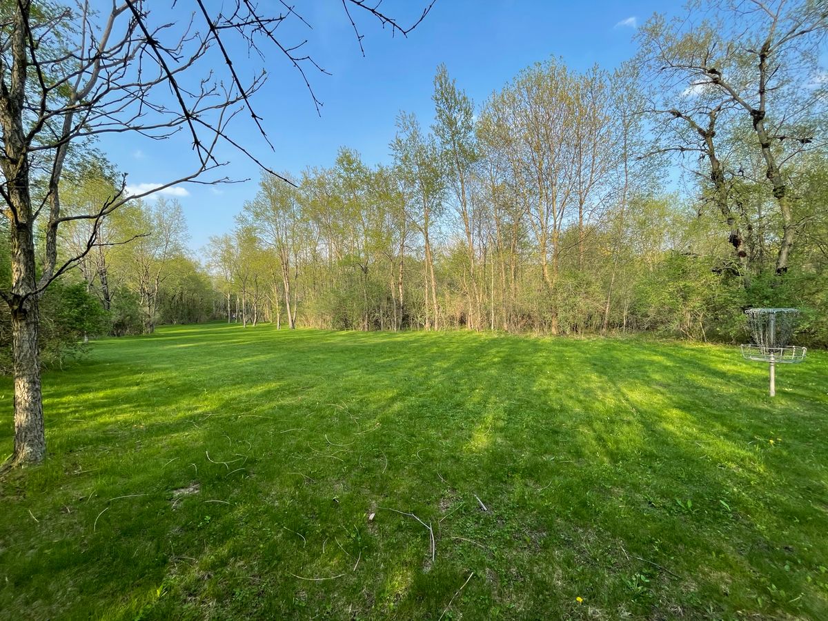 Hole 15 basket (blue placement)