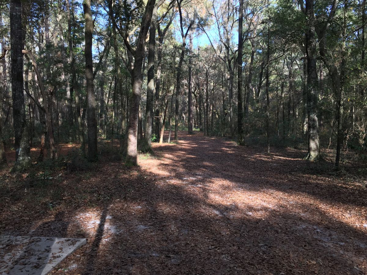 Hole 13