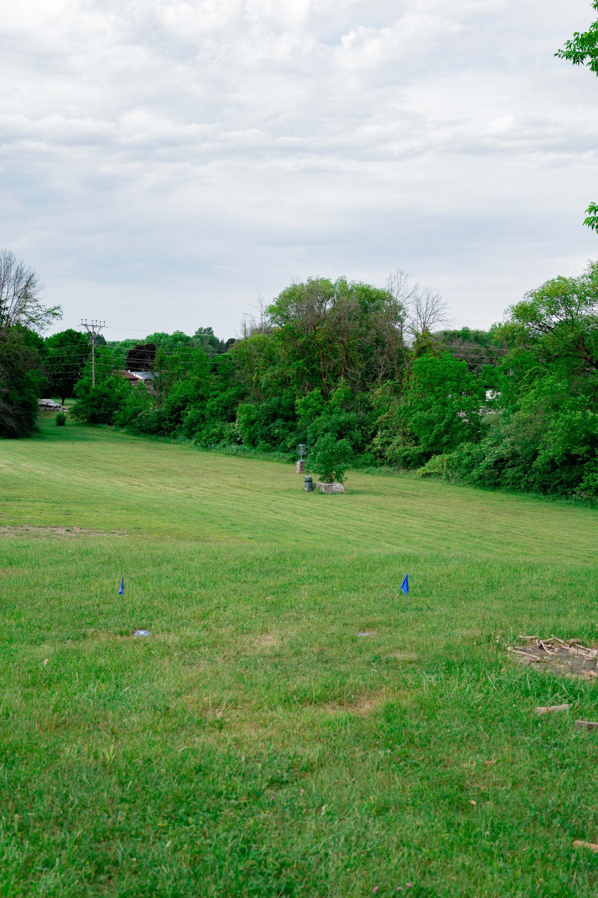 Hole 8 Tee Pad