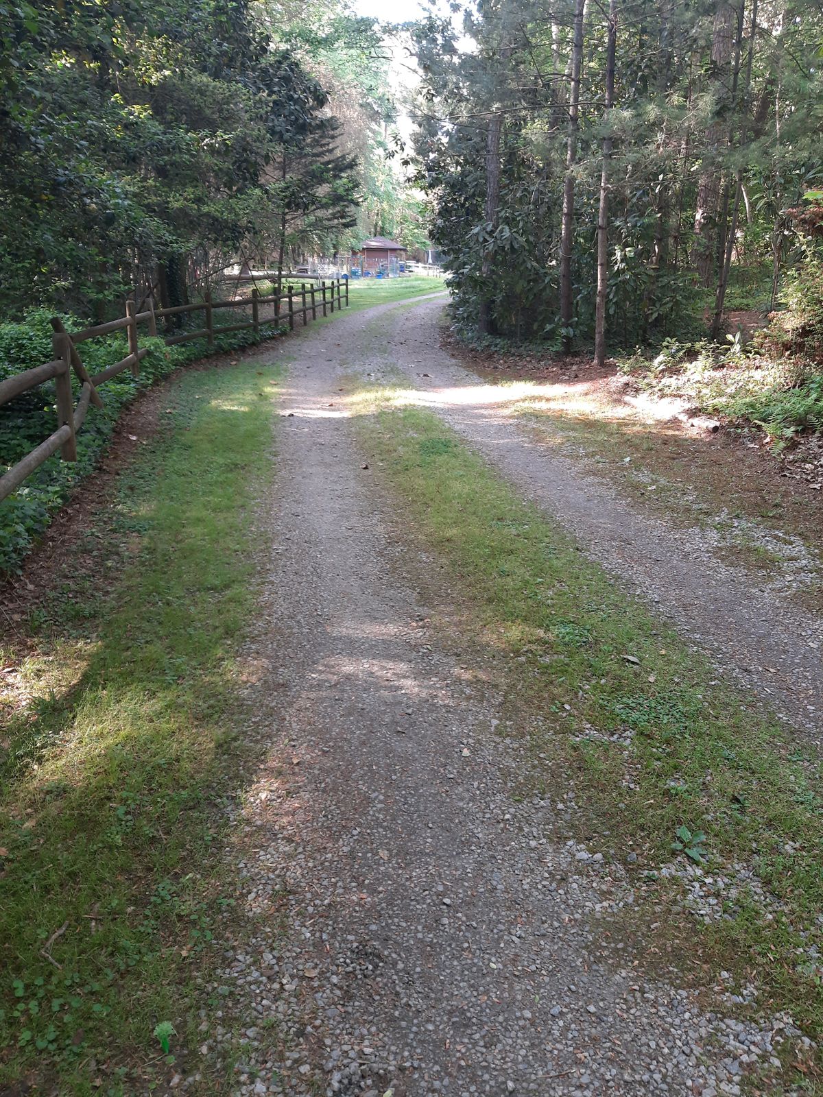 Hole 4 Par 3 Layout Tee