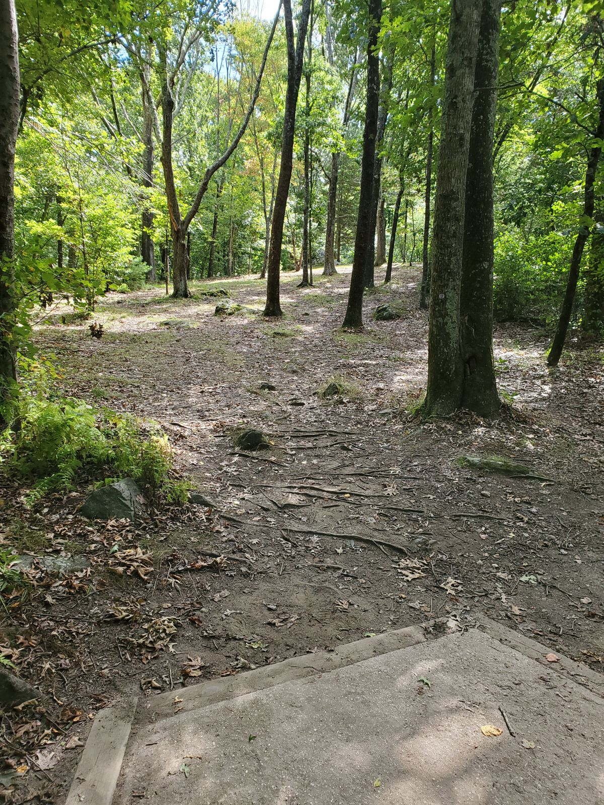 Tightly wooded hole.
