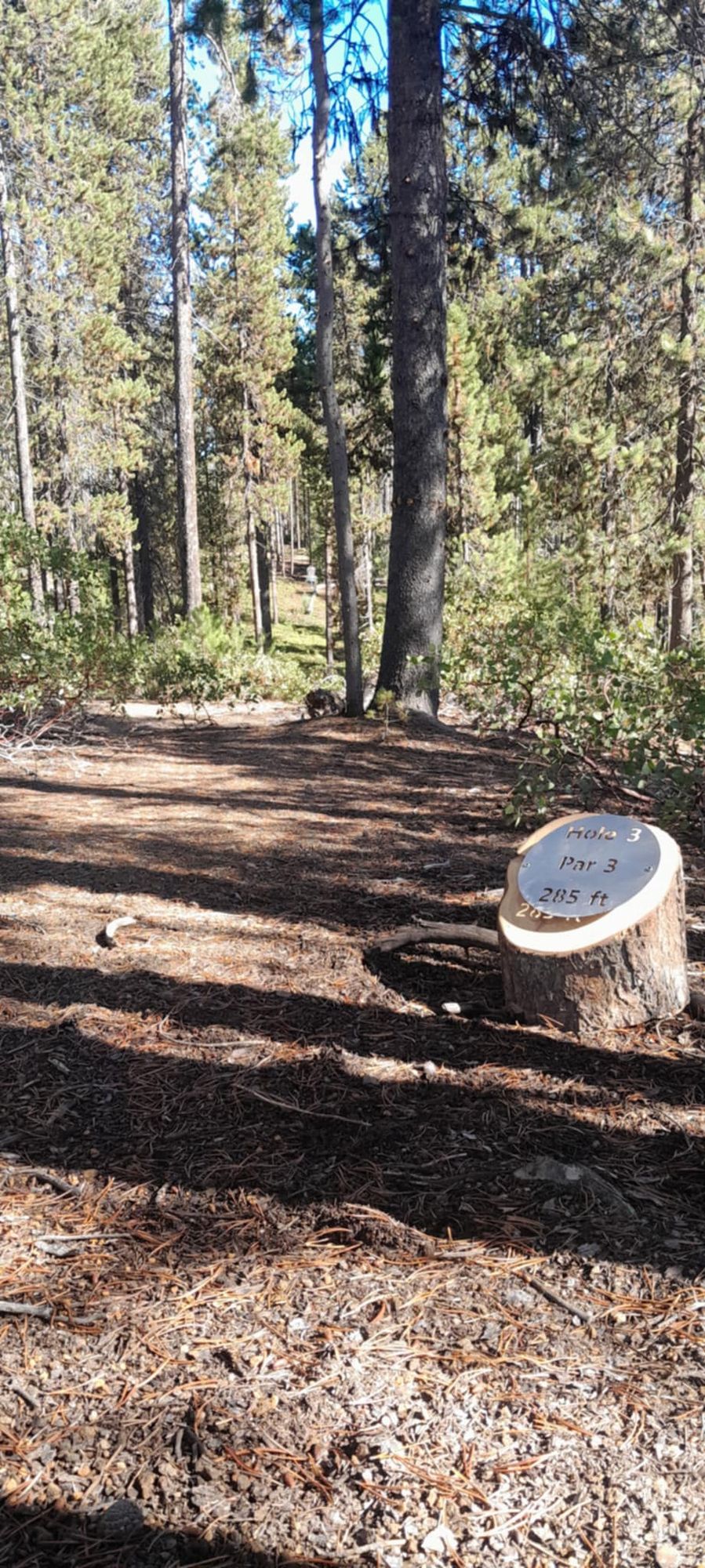 Hole 3