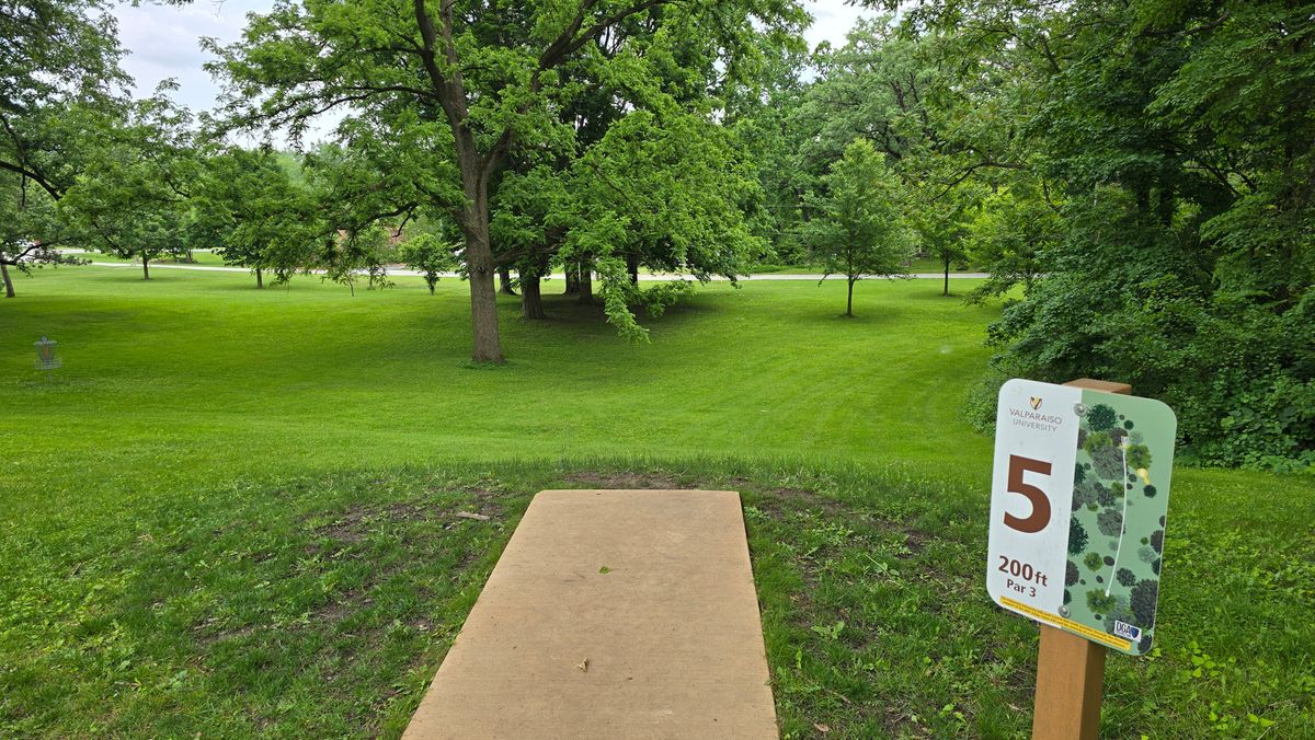 Hole 5 - Basket is at the back of the group of large trees. On the left you can see the Hole 4 basket and Hole 9 teepad in the distance near the road.